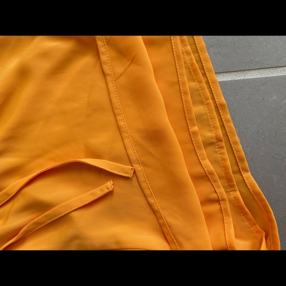 Aritzia Shorts - Sunday Best - Picture 4 of 5